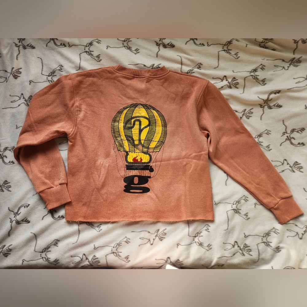 FTD Sweater "dreams take flight"